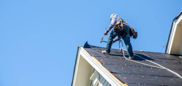 Best Storm Damage Roof Repair  in Alcoa, TN